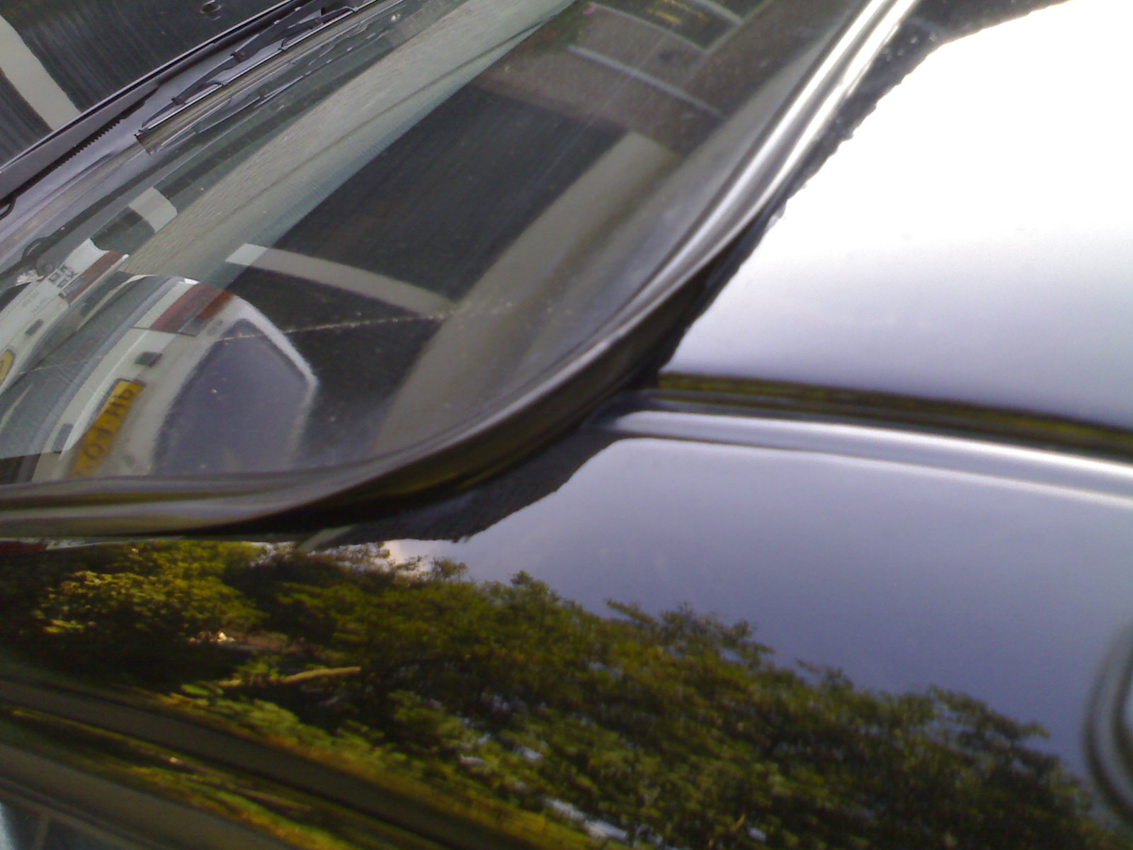 10092006141.jpg