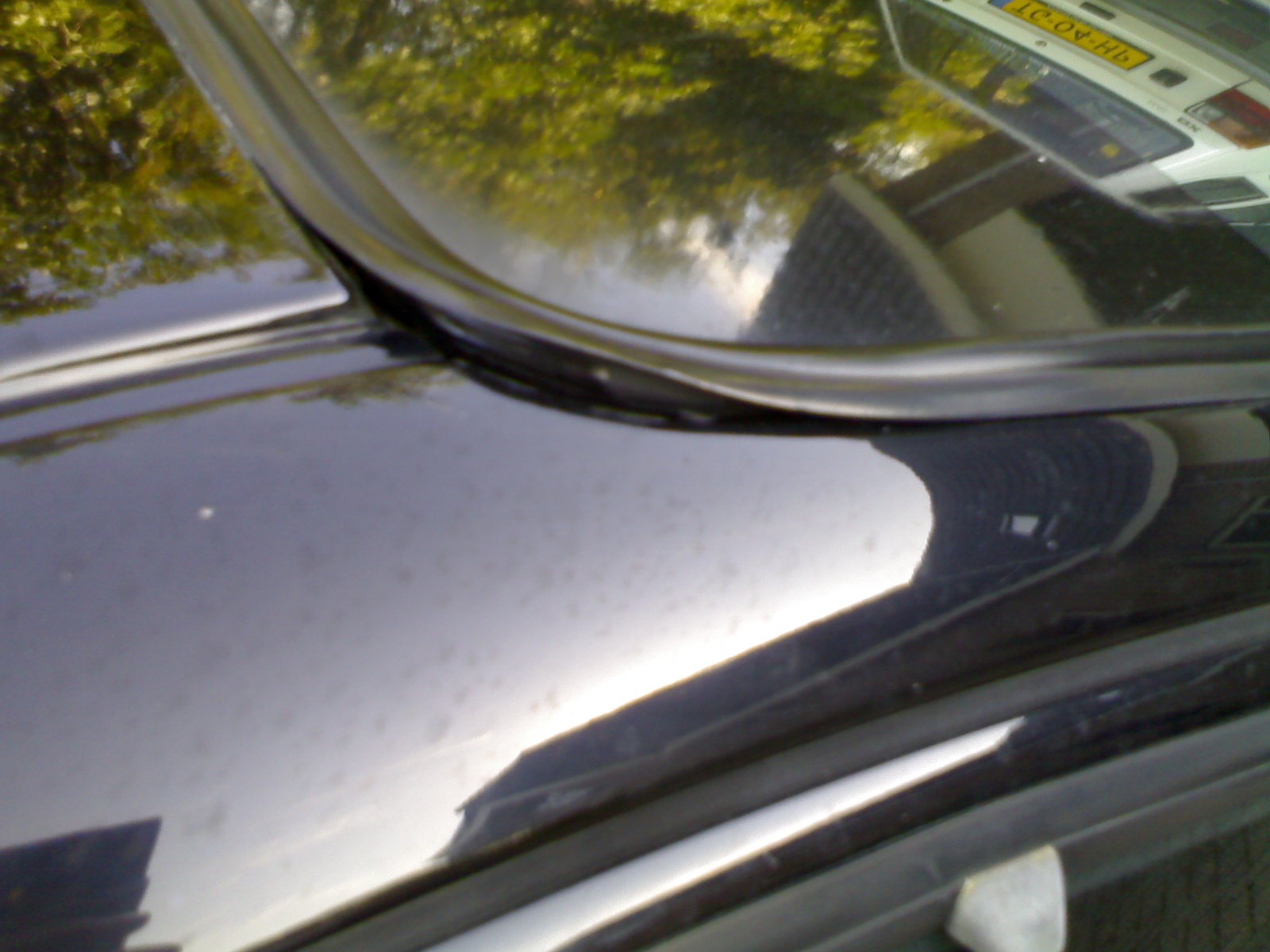 10092006142.jpg